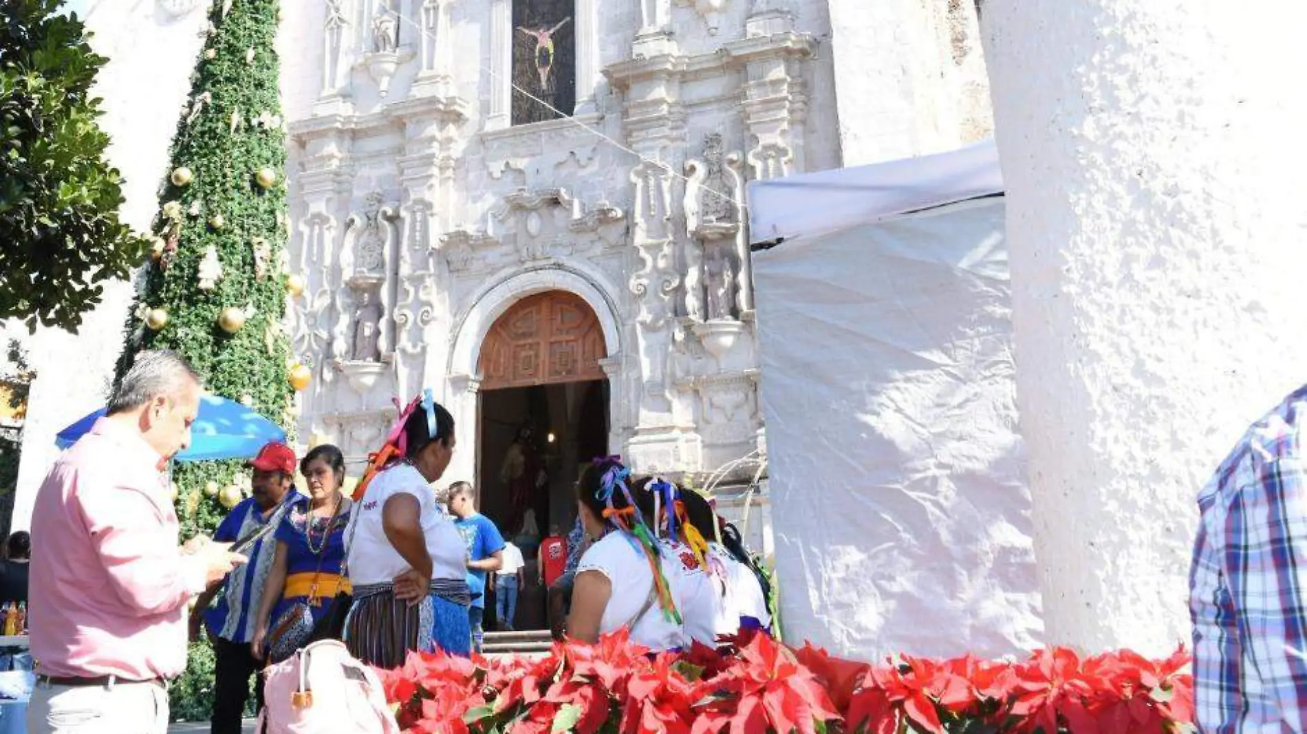 Nochebuenas frente a iglesia de Los Reyes